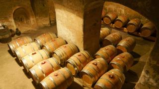 Una bodega de la Denominación de Origen  Pla i Llevant en Mallorca.