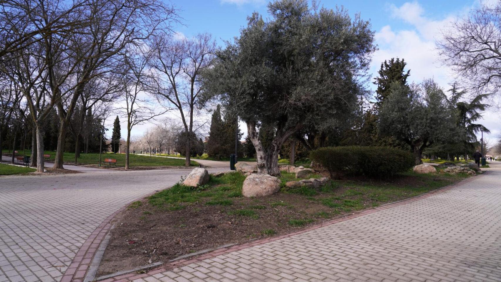 Parque de Las Cruces en Madrid en una imagen de archivo.