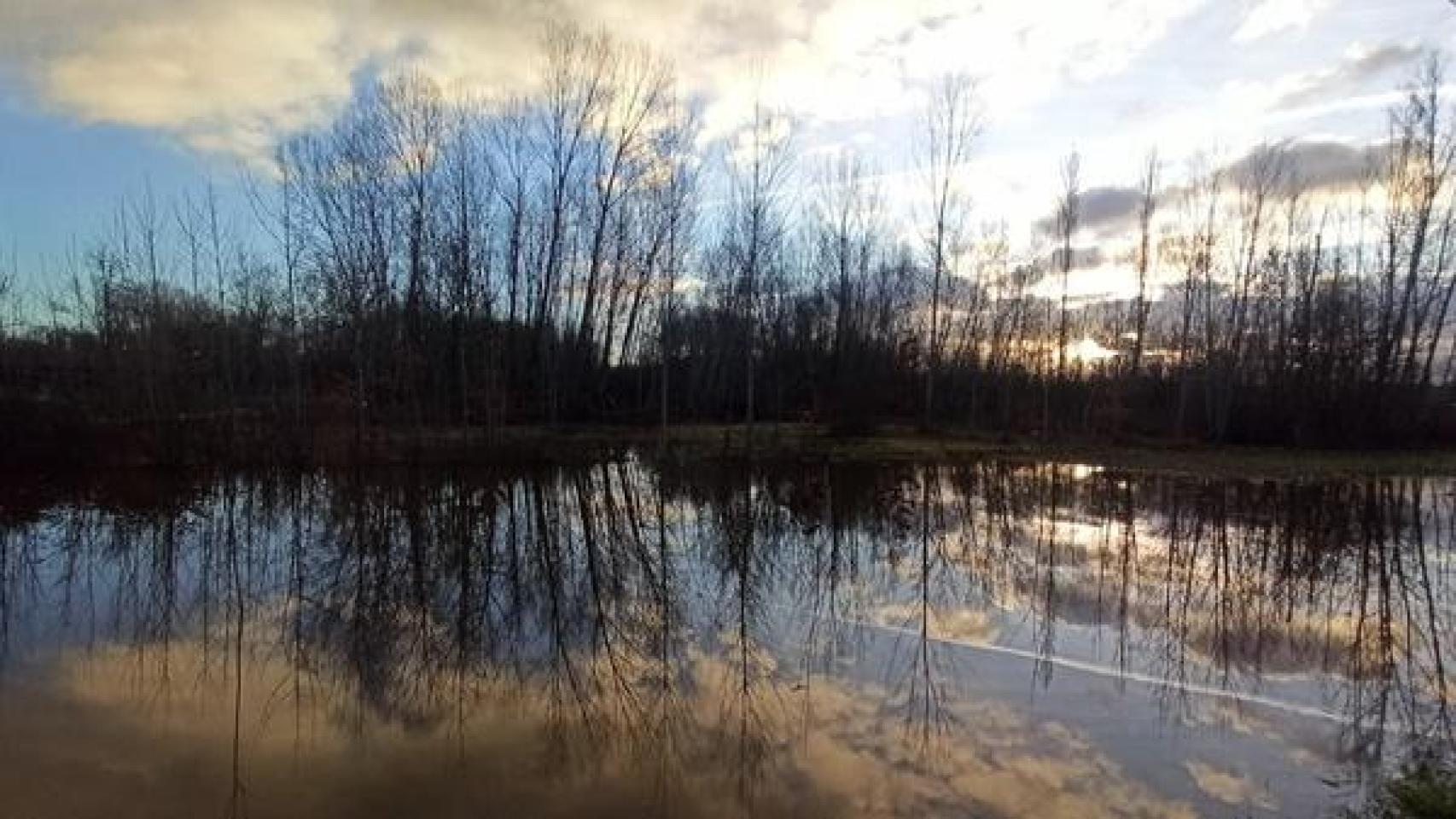Inundaciones en el campo de Castilla y León tras las lluvias.