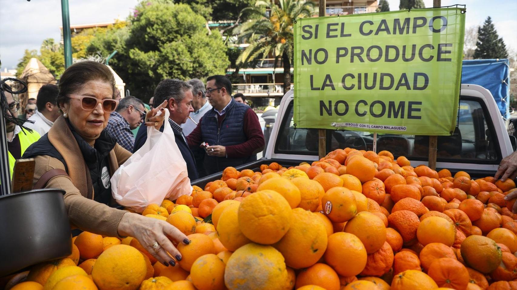 Agricultores durante la concentración 'No a Mercosur. En Defensa de la Soberanía Alimentaria. Por una PAC más fuerte'. A 29 de enero de 2026, en Málaga (Andalucía, España).