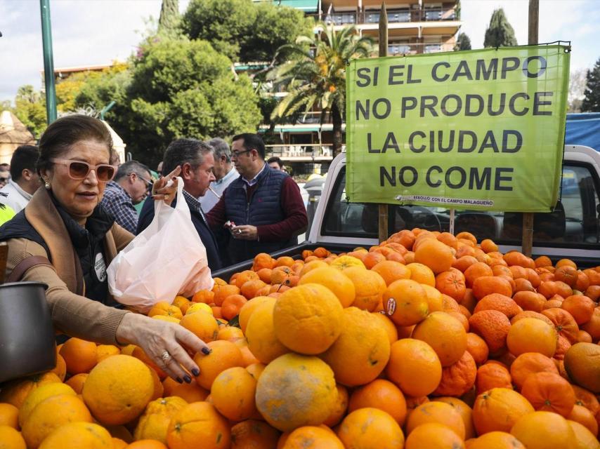 Agricultores durante la concentración 'No a Mercosur. En Defensa de la Soberanía Alimentaria. Por una PAC más fuerte'.