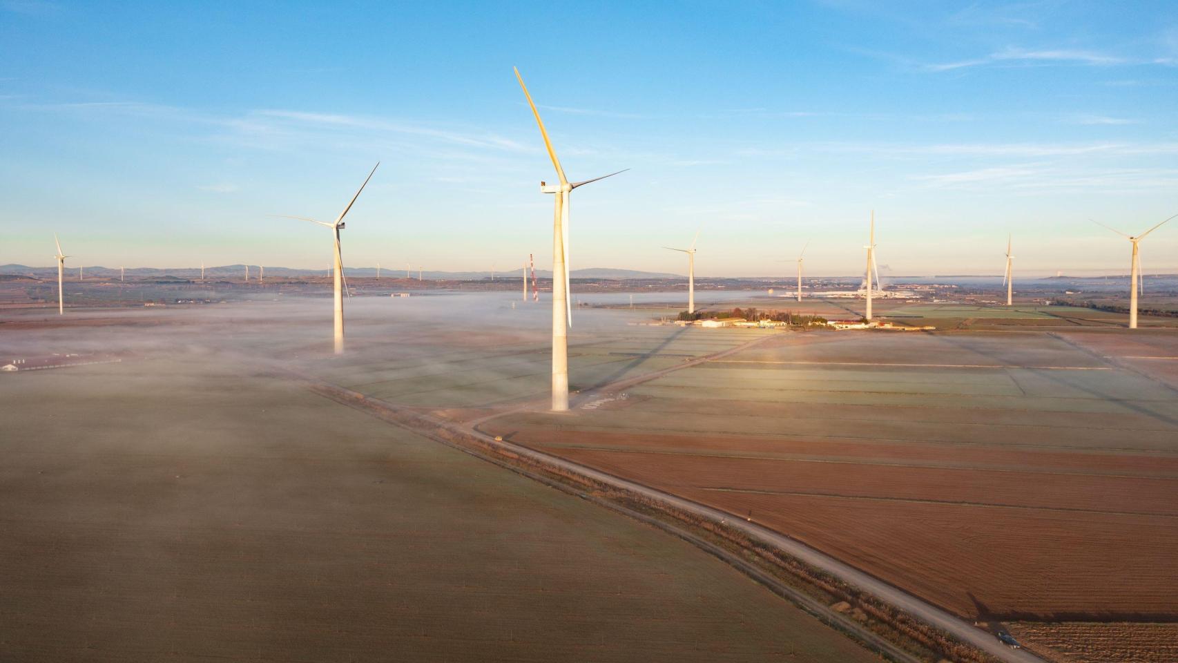 Parque eólico del Grupo Enhol.
