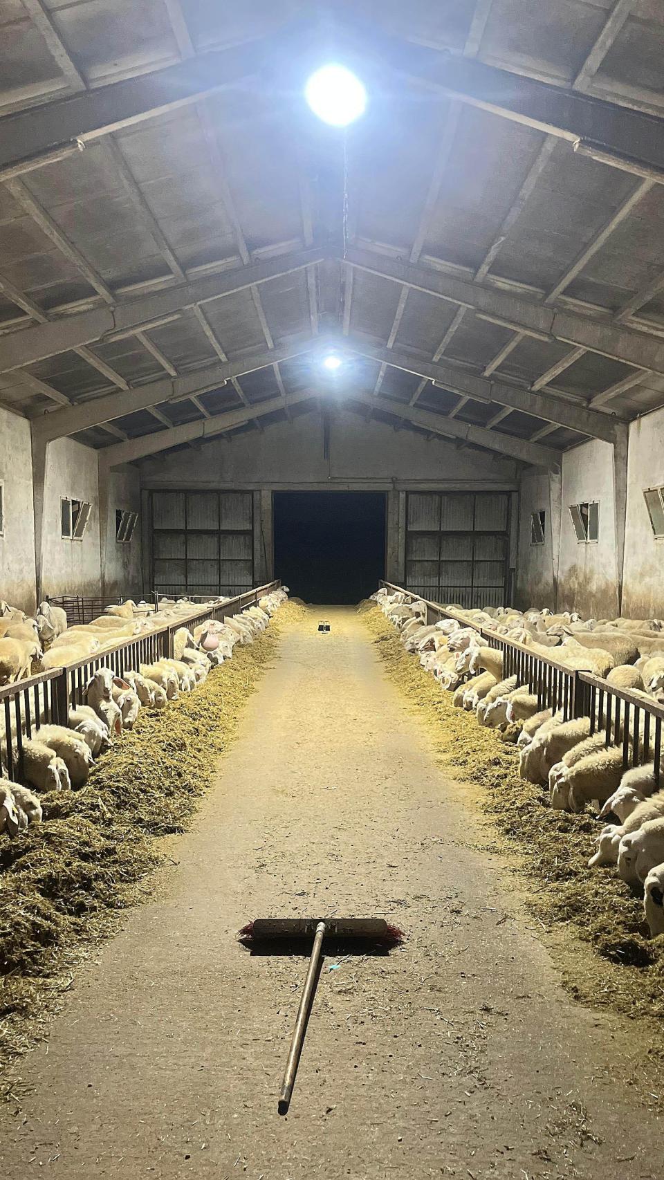La granja de José en la provincia de Zamora