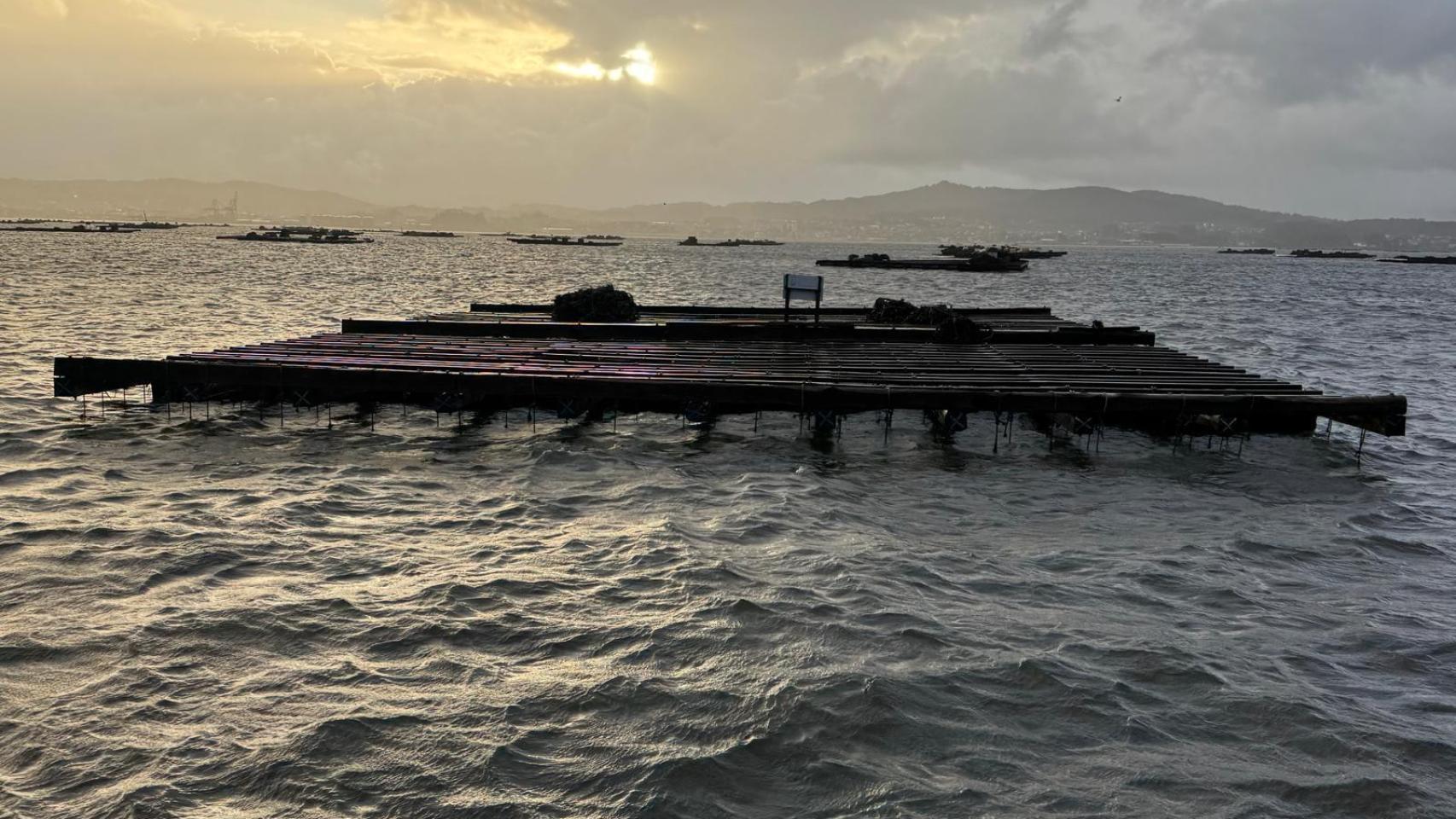 Imagen de una de las bateas gallegas.