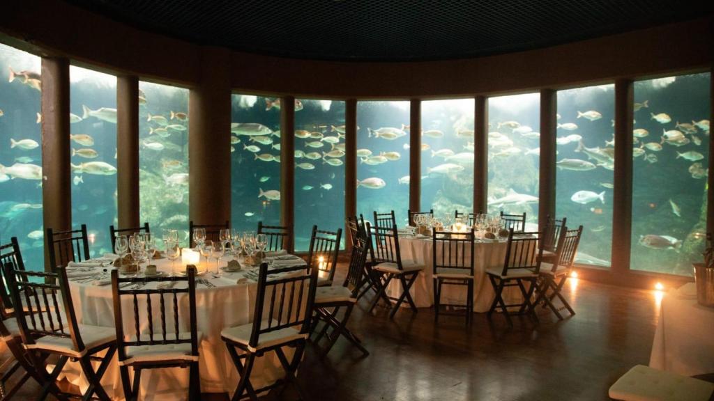 El salón Nautilus del Aquarium Finisterrae