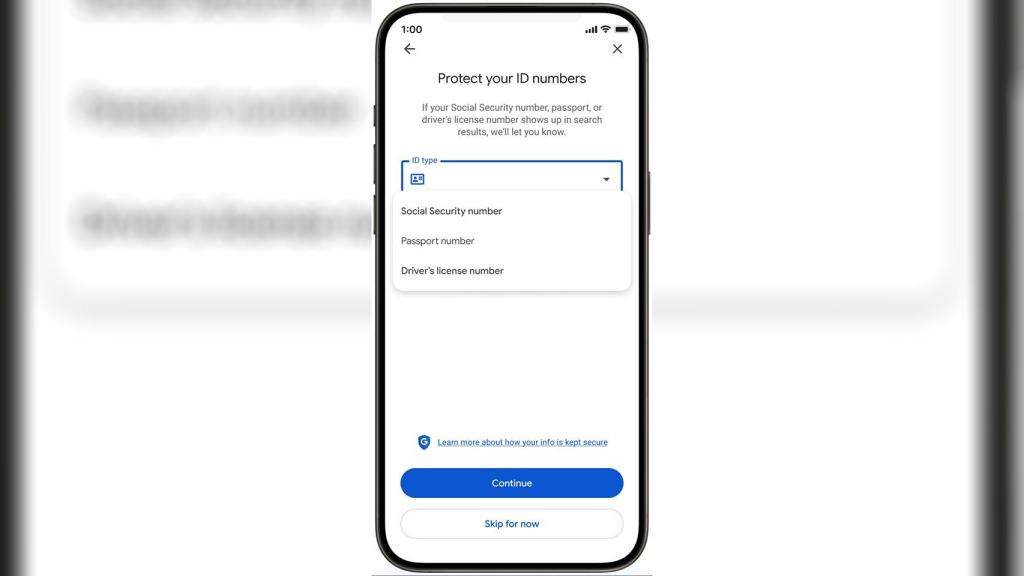 Selección de los tres tipos de números de identificación en Google