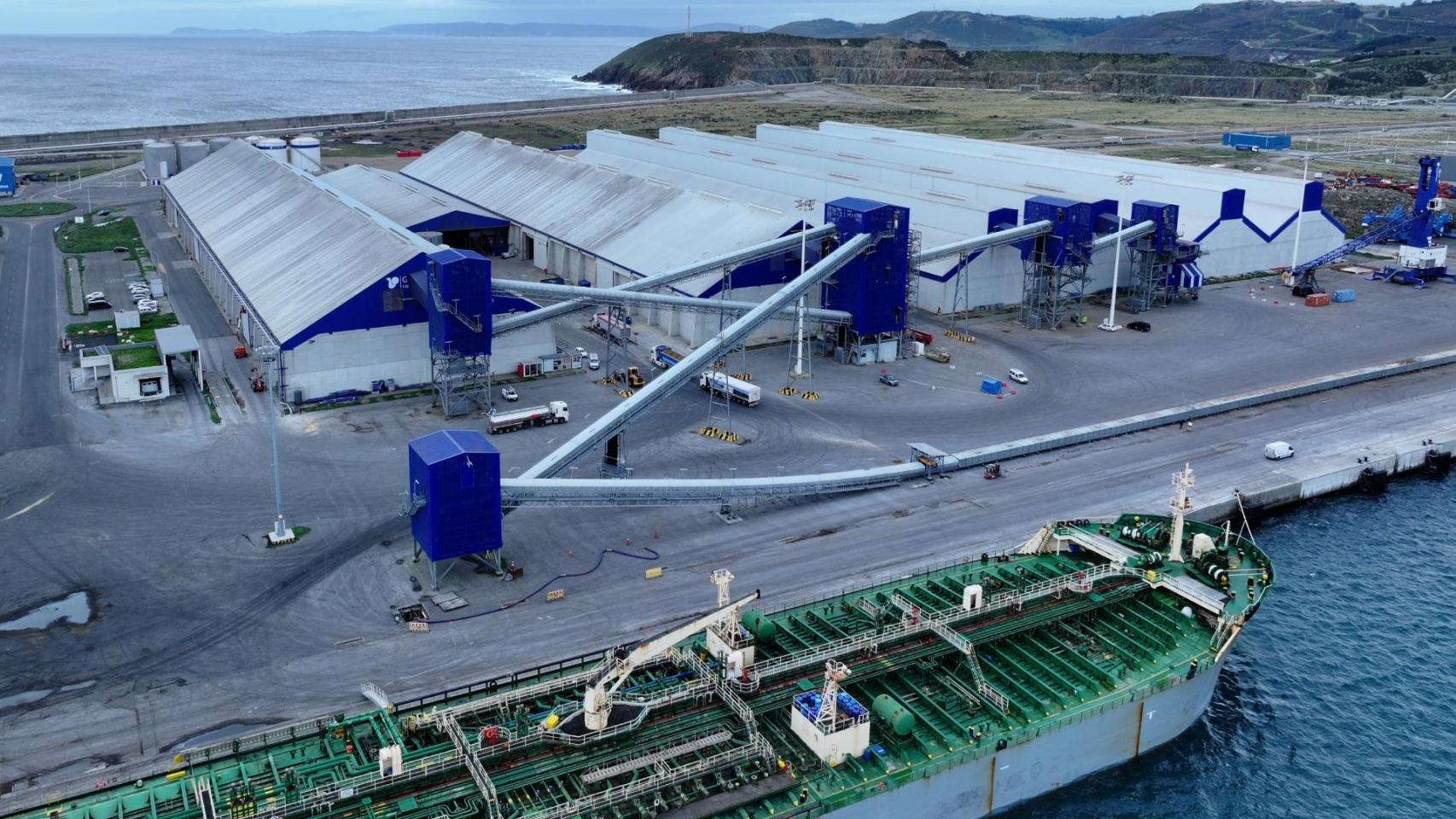 Galigrain en Punta Langosteira, en Arteixo (A Coruña).