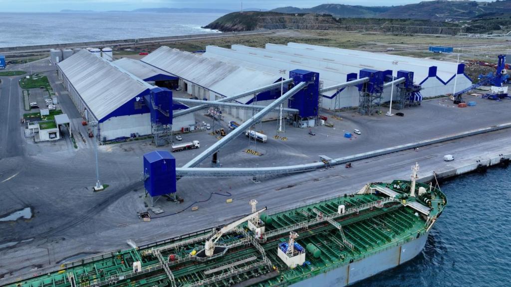 Galigrain en Punta Langosteira, en Arteixo (A Coruña).