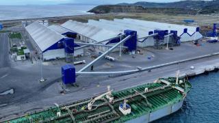 Galigrain en Punta Langosteira, en Arteixo (A Coruña).