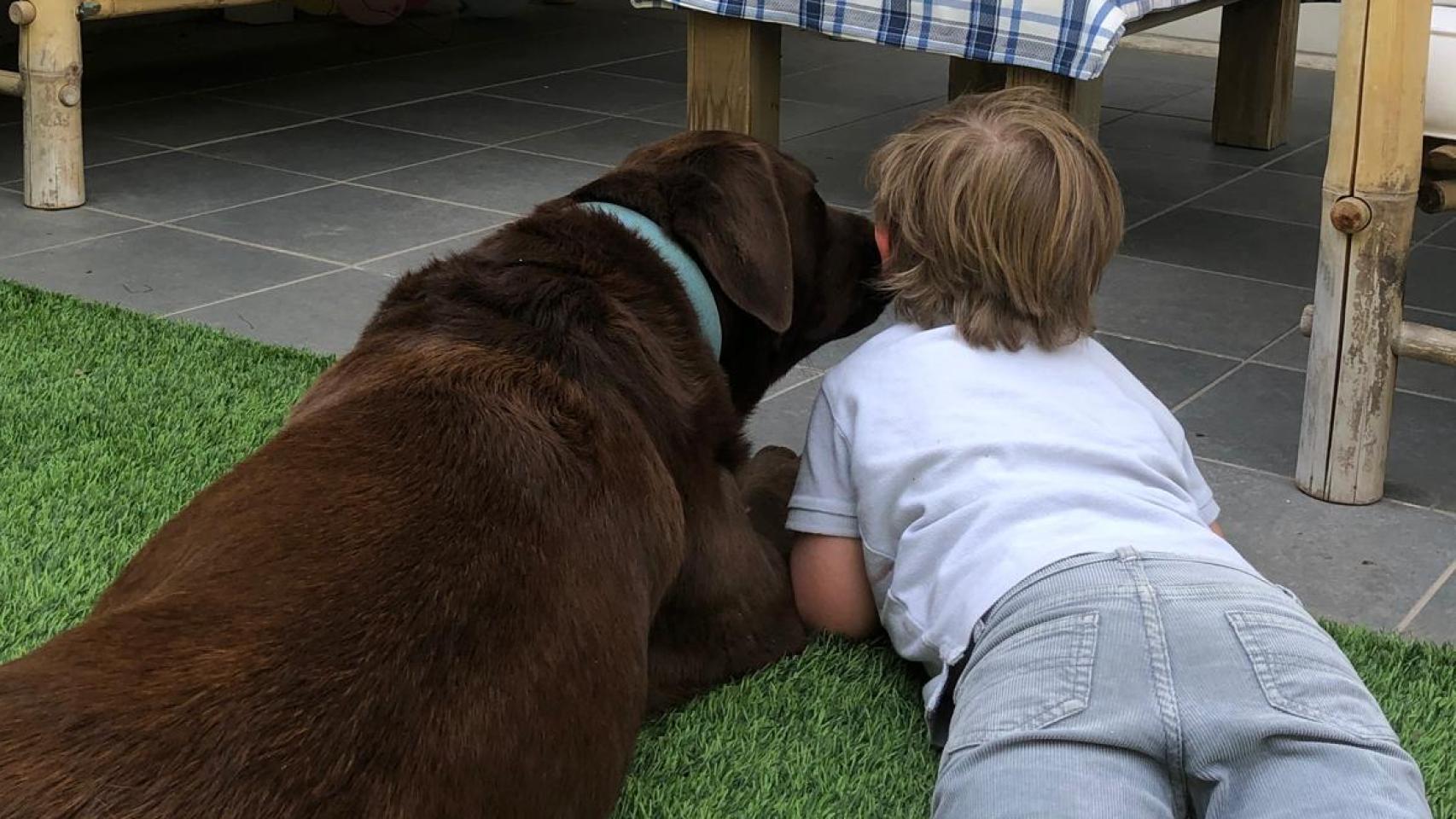 Un perro y un niño de espalda.