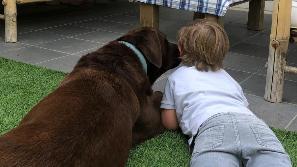 Un perro y un niño de espalda.