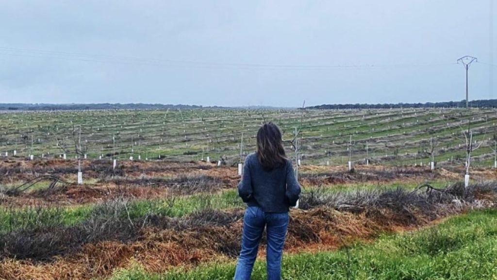 Calzada en el campo.