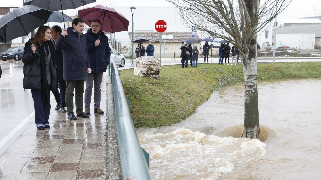 El presidente de la Junta y candidato a la reelección por el PP, Alfonso Fernández Mañueco, junto al rio Ucero en el municipio soriano de El Burgo de Osma, este miércoles