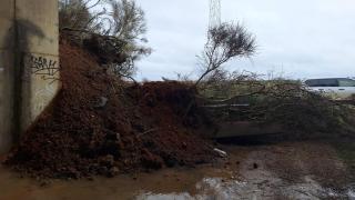 Imagen del desprendimiento.