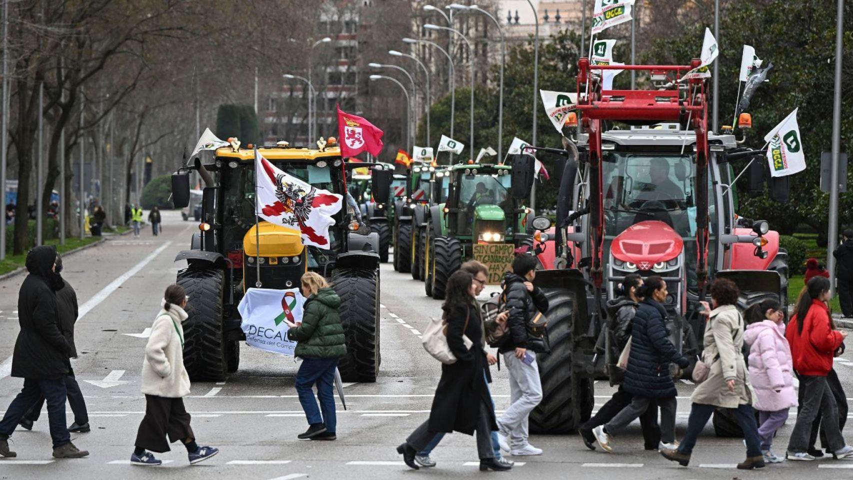 Marcha de cientos de tractores y agricultores por el centro de la capital en protesta por el acuerdo comercial entre la UE y el bloque de Mercosur y recortes en la PAC