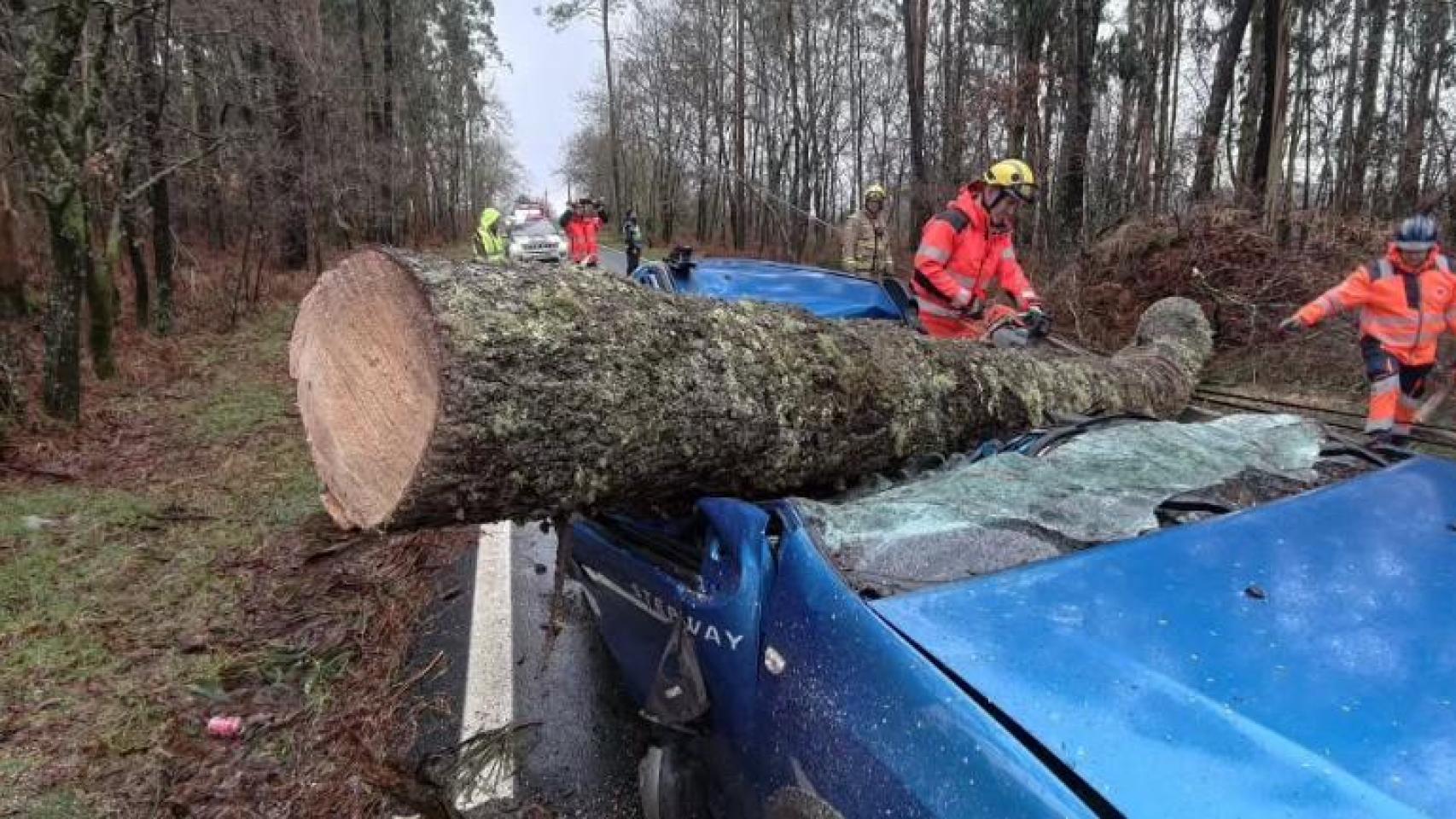 Temporal en Galicia: una joven de 20 años resulta herida tras caer un árbol sobre su vehículo en Caldas
