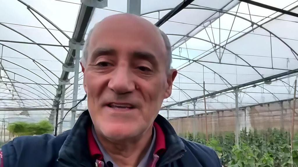 Álvaro Torró, agricultor y dueño de un invernadero.