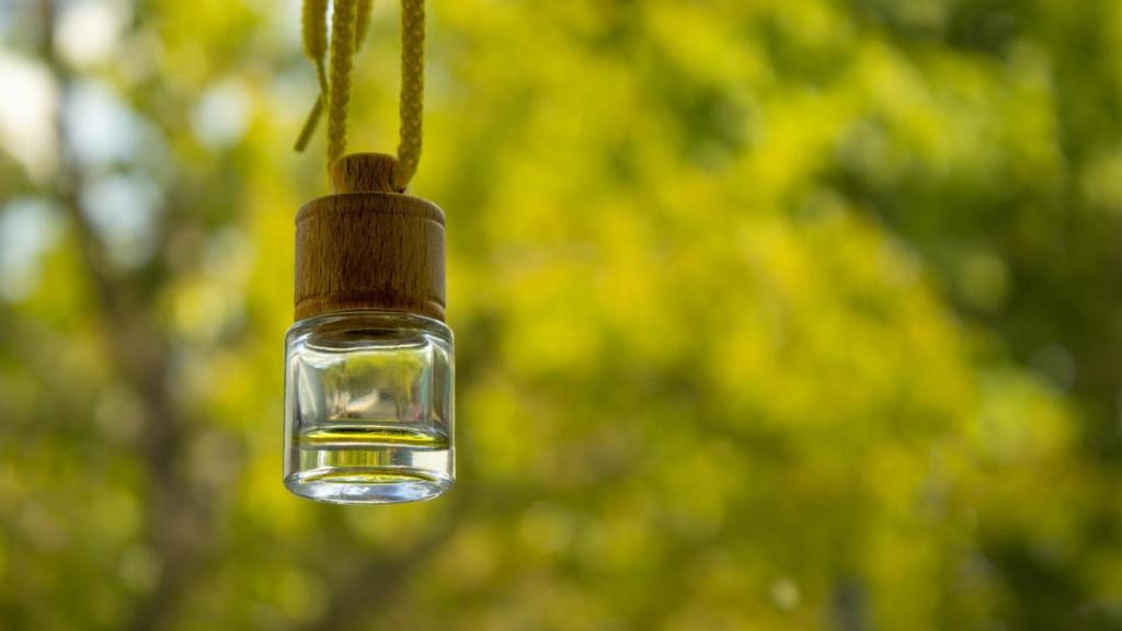 Ambientador colgado del espejo retrovisor interior del coche