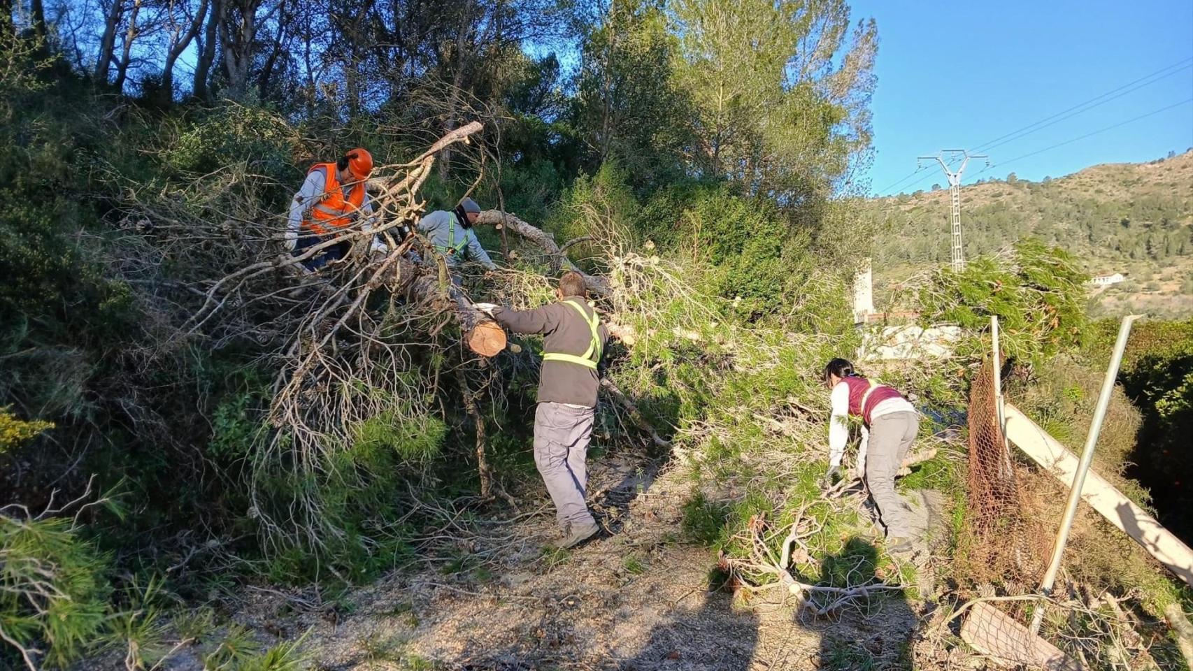 Incidentes por viento causado por la borrasca Nils. Xàtiva
