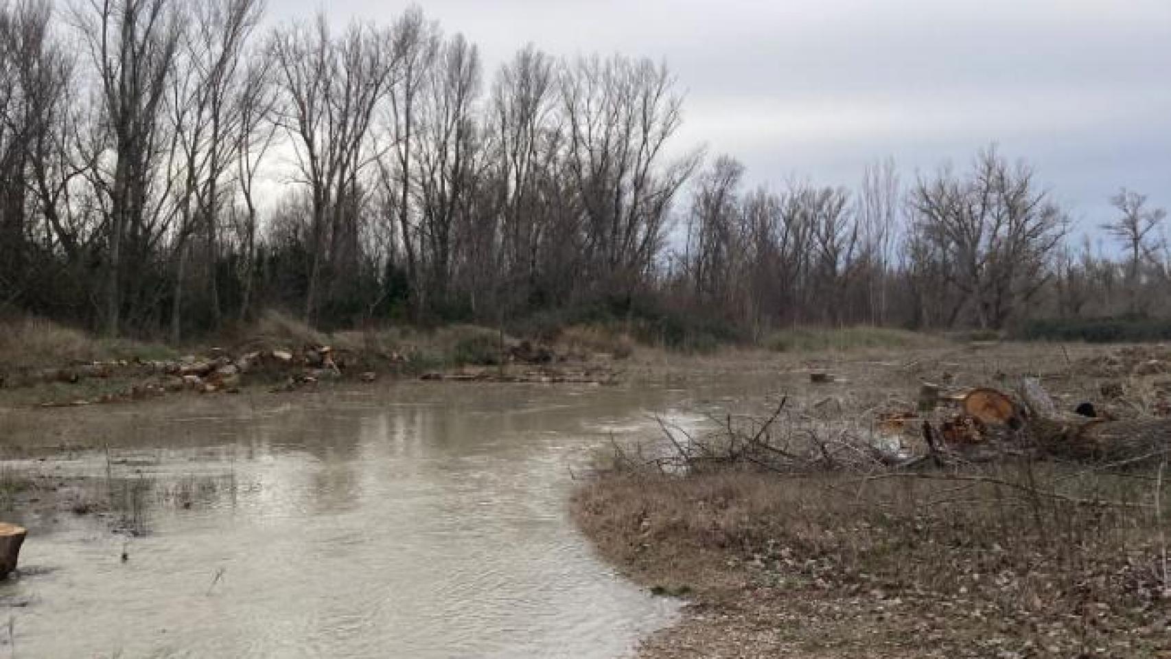 Ribera del Gállego a su paso por Zaragoza.