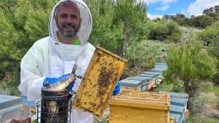 Francisco José González, de 'Mielegante', en uno de sus colmenares.