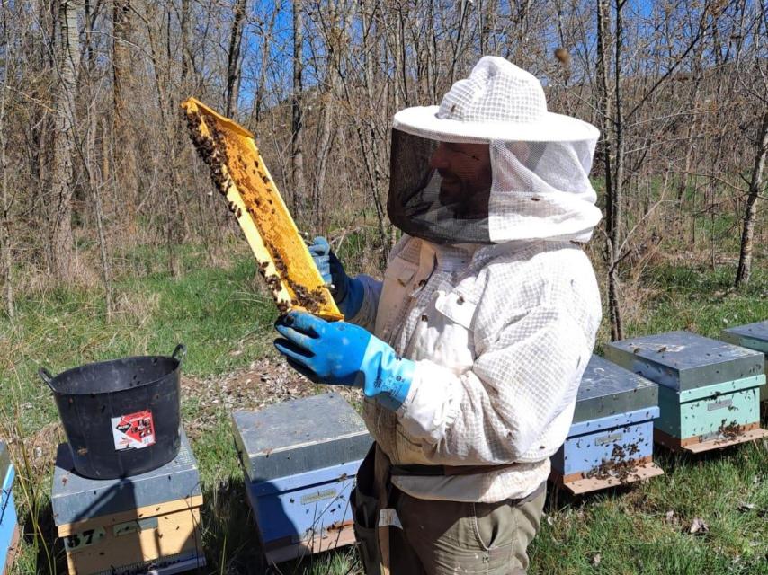 Francisco José con uno de sus panales en un colmenar de 'Mielegante'