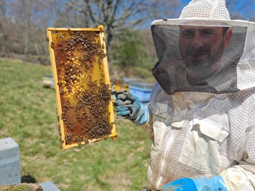 Francisco José posa con un panal lleno de abejas en su explotación de 'Mielegante'