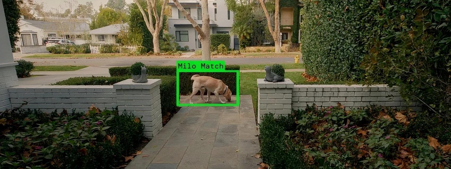 El sistema de detección de 'Search Party' localiza a un perro perdido.