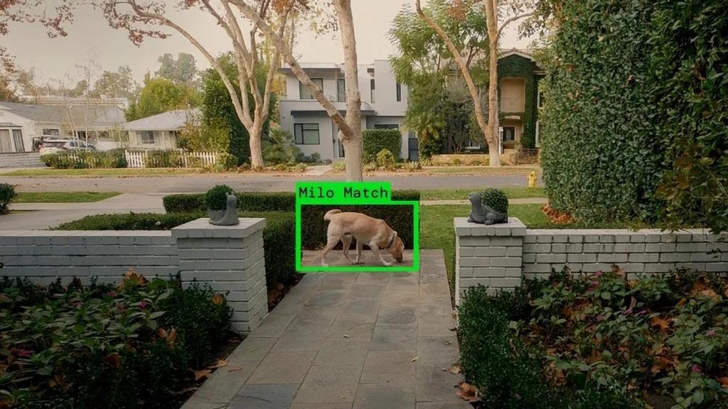 El sistema de detección de 'Search Party' localiza a un perro perdido.