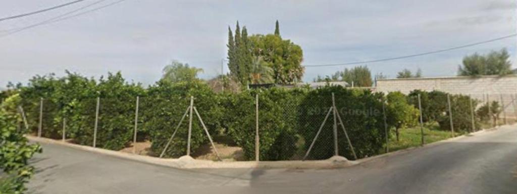 El Carril de los Palomas por donde los vecinos denuncian que pasan decenas de coches de extraños a diario que van a casa de Alberto.