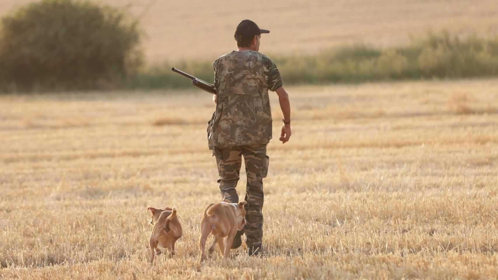 Un cazador en Castilla y León