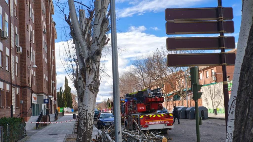 Árbol podado en la calle Río Valdemarías, del Polígono residencial de Toledo.