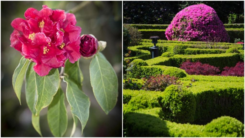 Jardines del Pazo de Rubianes