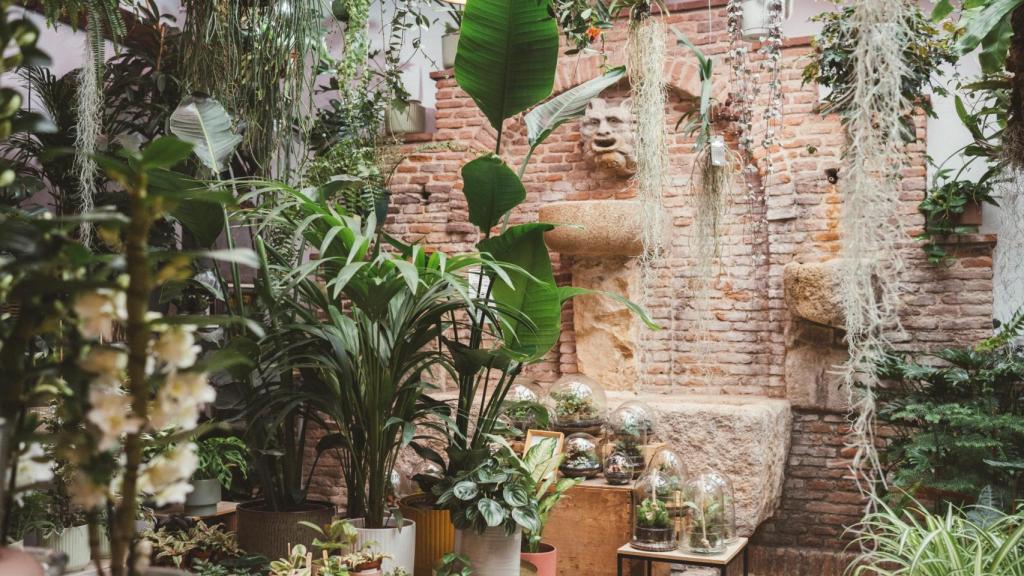 La fuente, absoluta protagonista del espacio interior.