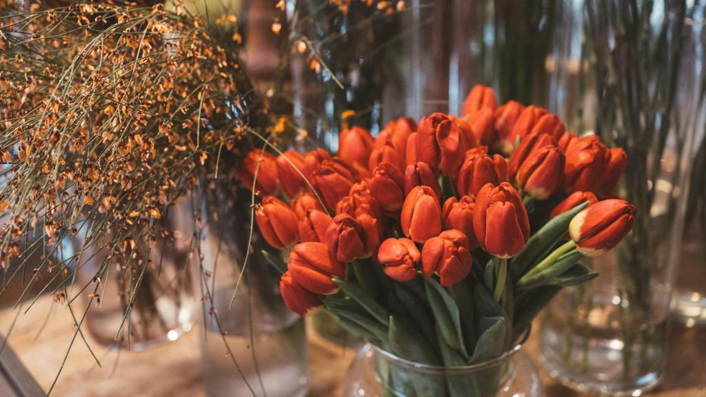 Una selección de tulipanes rojos.