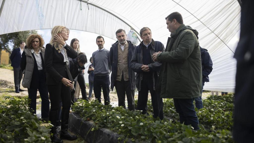 O Ministro da Agricultura, Luis Planas, visita colheitas danificadas pelo furacão em Moguera (Huelva).
