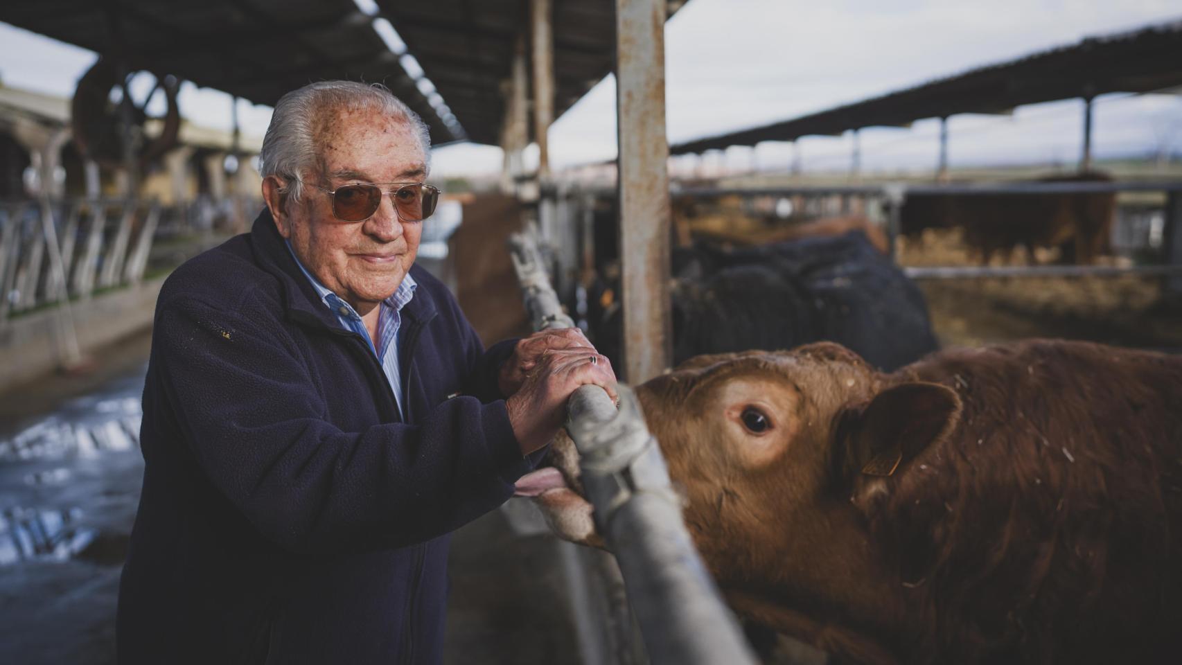 Juan Francisco, al lado de sus vacas.