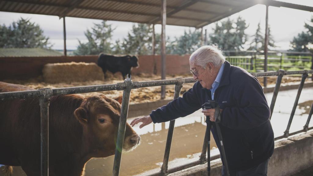 Juan Francisco junto a sus vacas.