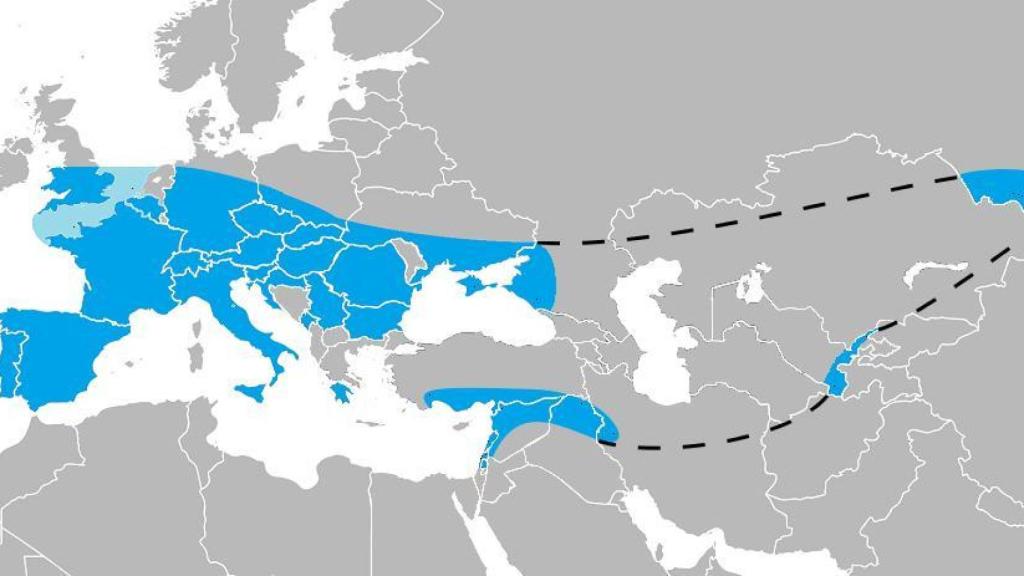 Área de distribución máxima del 'Homo neanderthalensis'. Foto: Wikimedia Commons
