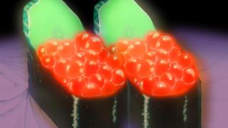 880672229_248679473_1706x1280