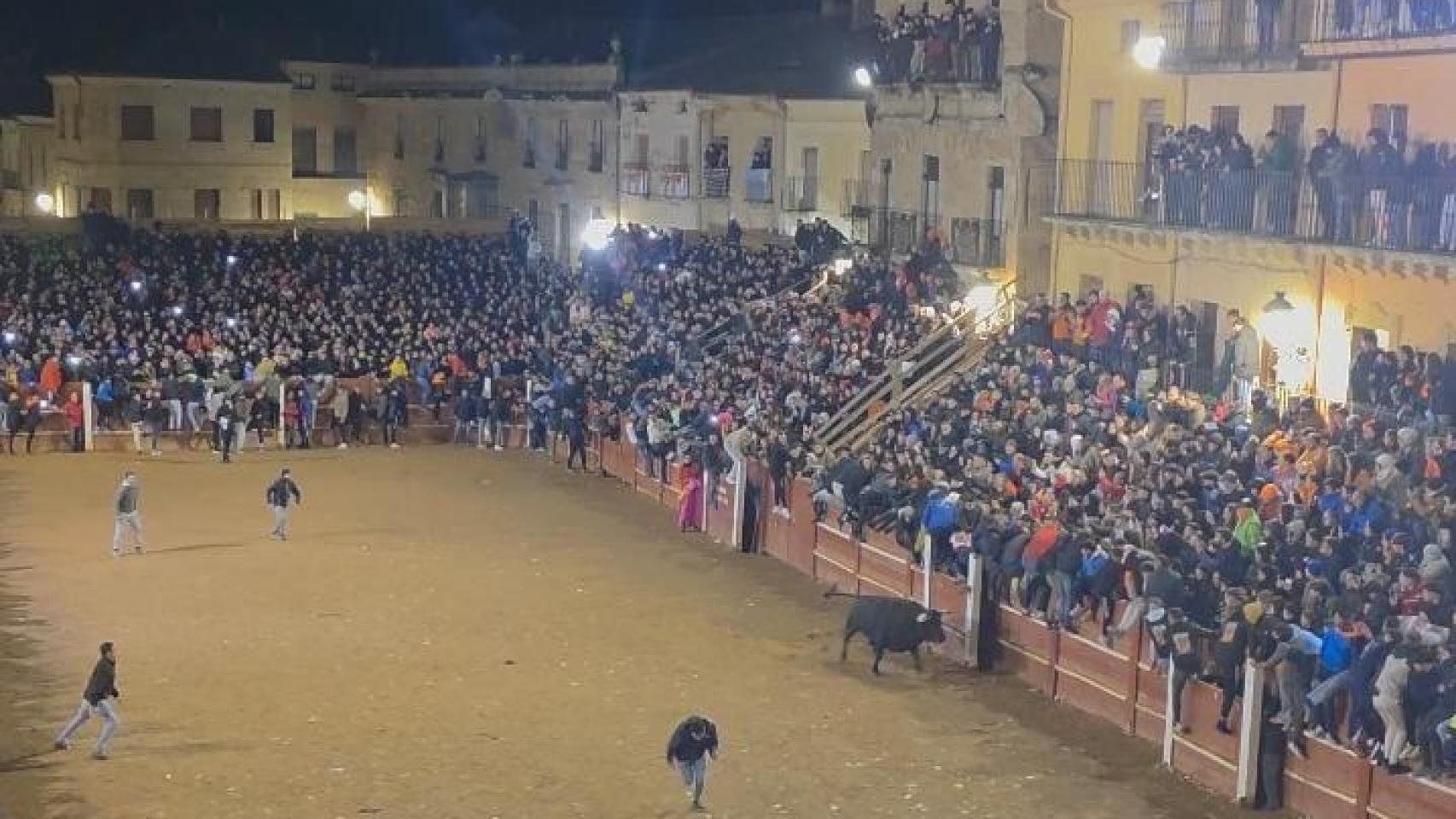 Muere un hombre por una cornada en el pecho en la capea del Carnaval del Toro de Ciudad Rodrigo