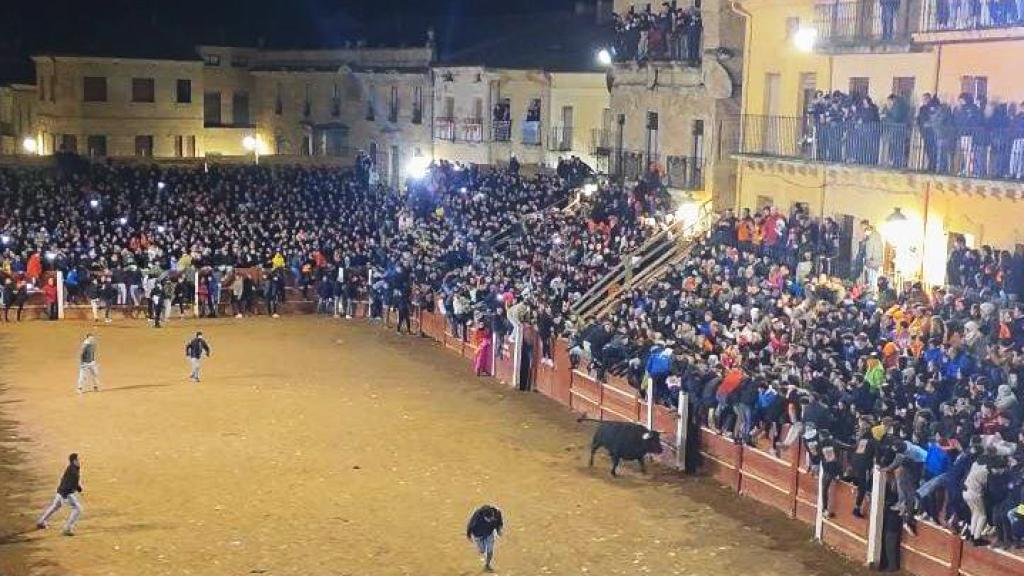 Muere un hombre por una cornada en el pecho en la capea del Carnaval del Toro de Ciudad Rodrigo