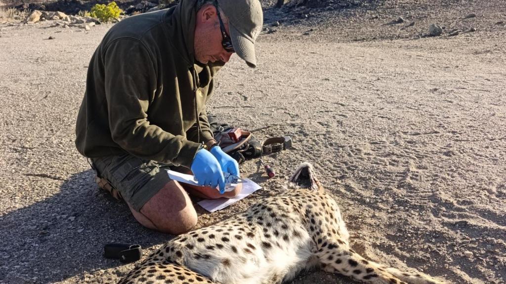 Rubén durante una invervención.