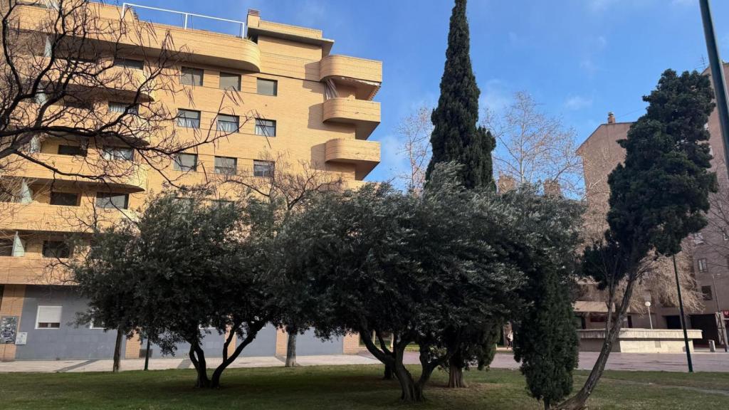 Fuerte viento en Zaragoza.