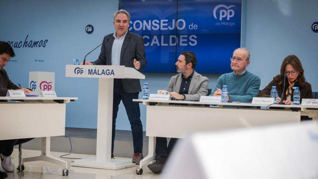 Elías Bendodo, durante su intervención en el consejo de alcaldes del PP de Málaga.