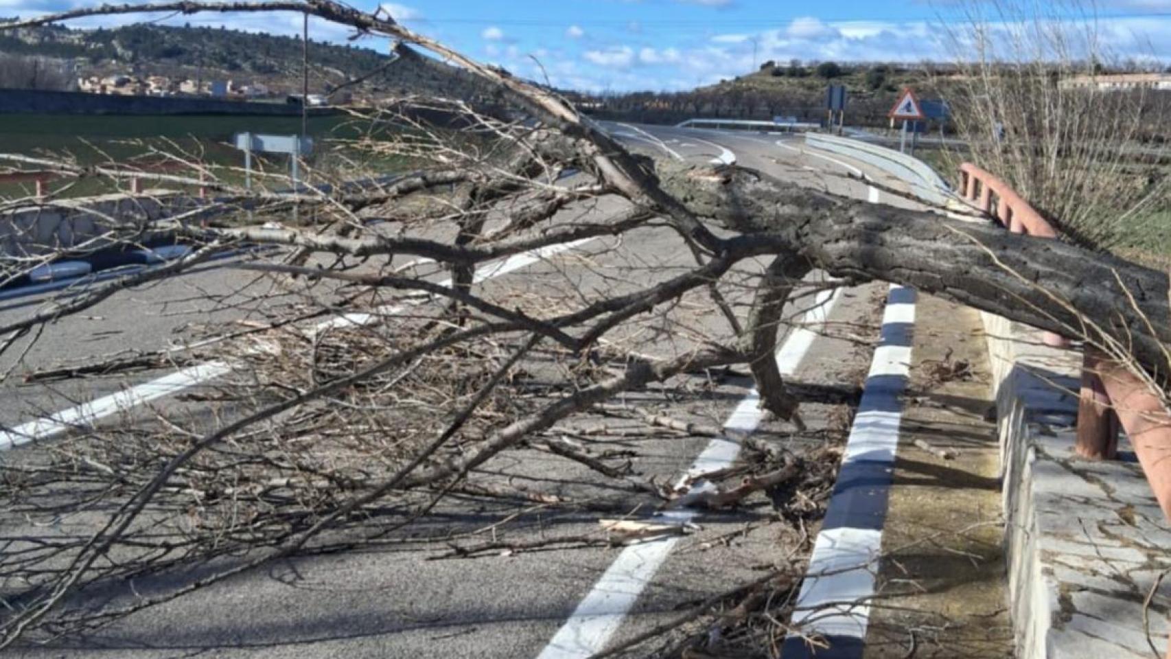Árbol caído en la carretera. EE
