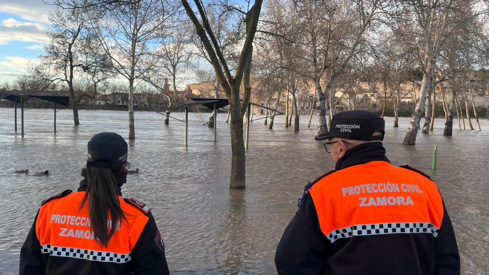 Protección Civil activa en Zamora un dispositivo especial de vigilancia por la crecida del río Duero