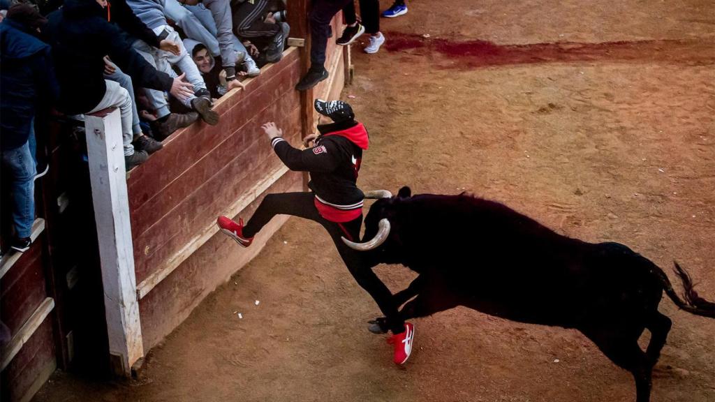 Momento en el que el toro alcanza al hombre en el muslo