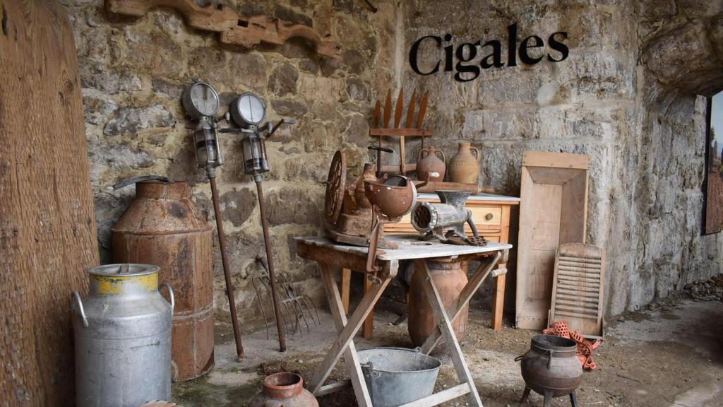Musealización de la Catedral del vino de Cigales