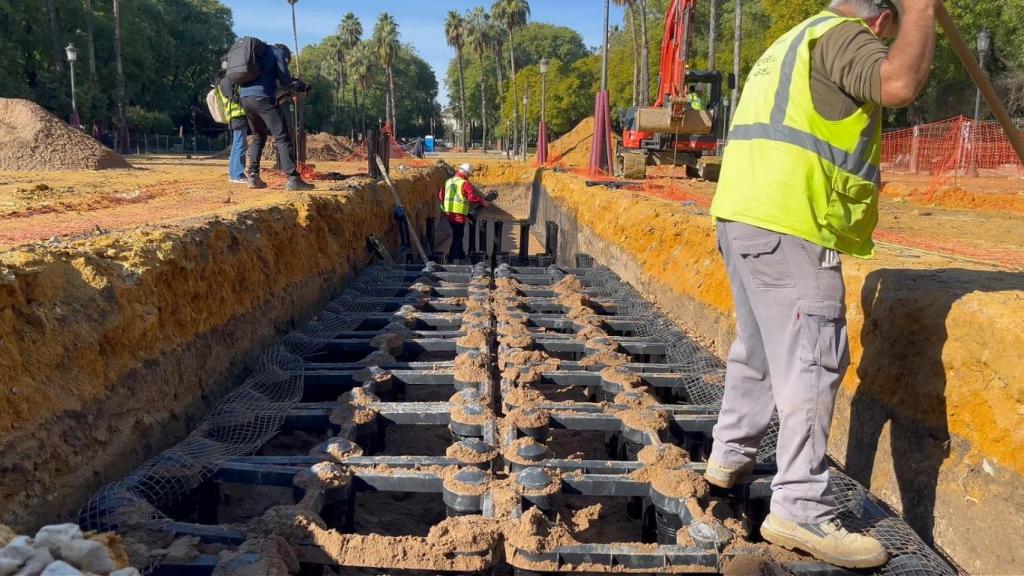 Un sistema pionero de geoceldas en el Prado de San Sebastián para mejorar el desarrollo del arbolado y generar más sombra